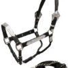 Dark Leather Show Halter