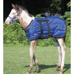 Weaver Leather Weaver Blue Foal Blanket