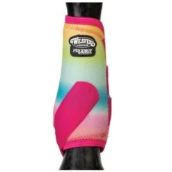 Weaver Leather Weaver Rainbow Prodigy Boot