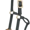 Mustang Traditional Nylon Halter - Black