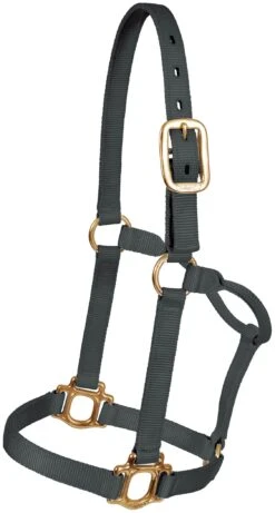 Mustang Traditional Nylon Halter - Black