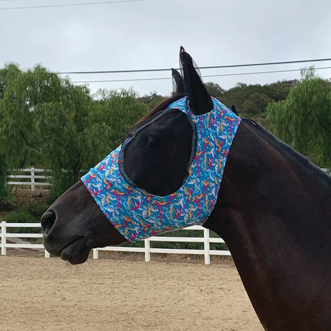 Professional's Choice Bones Cob Fly Mask 1 Professional's Choice Bones Cob Fly Mask