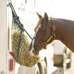 Hay Chix 1/2 Bale Net 1 1/4 Slow Feed -Western Jeans Store FS June images 3 2048x 2x fc86632c 164c 4c7f 9a06 d17cb60c660a