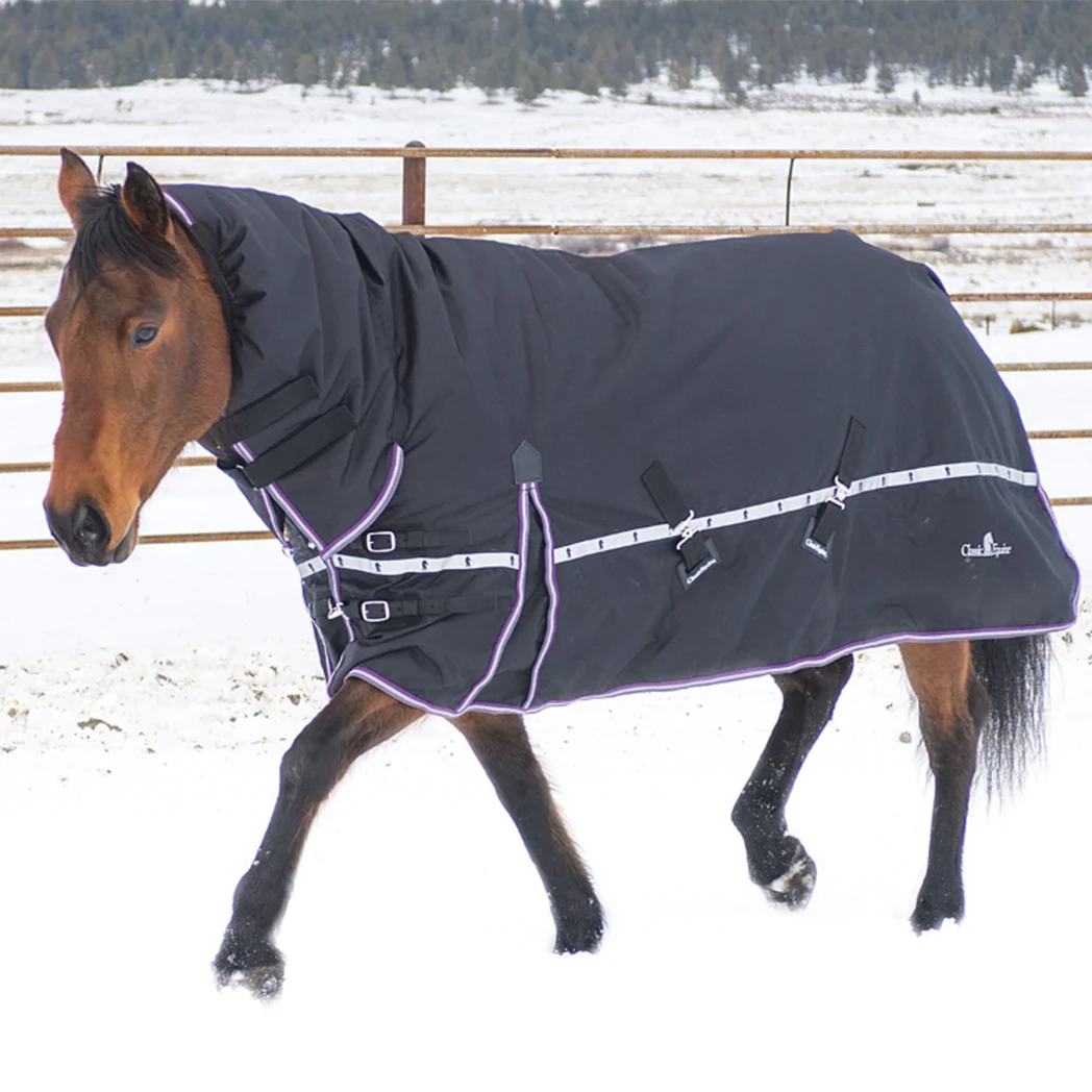 Classic Equine 10K Hooded Winter Horse Blanket- Black 1 Classic Equine 10K Hooded Winter Horse Blanket- Black