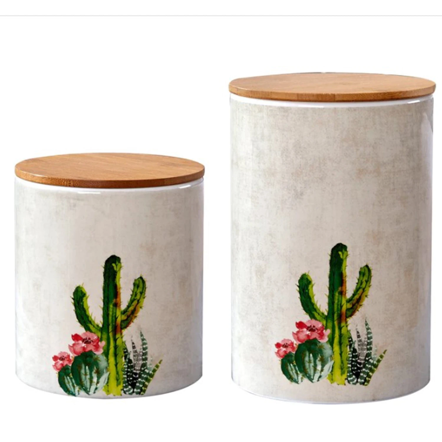 Cactus Canister Set 1 Cactus Canister Set