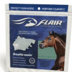 Flair Strip Turquoise 6 Pack -Western Jeans Store Turqouise FLair Strips2