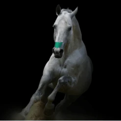 Flair Strip Turquoise 6 Pack -Western Jeans Store Turqouise Flair Strips3