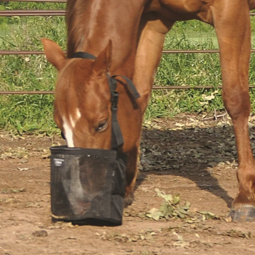 Cashel Black Feed Rite Bag 1 Cashel Black Feed Rite Bag