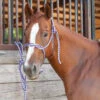 Martin Saddlery Purple And Grey Rope Halter