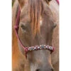 Professional's Choice Professional Choice- Burgundy Beaded Rope Halter